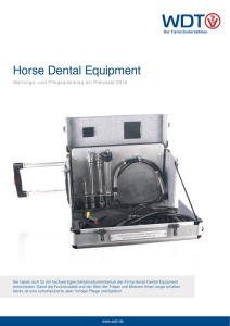 Horse Dental Equipment