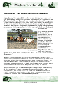 Westernreiten - Eine Reitsportdisziplin auf Erfolgskurs