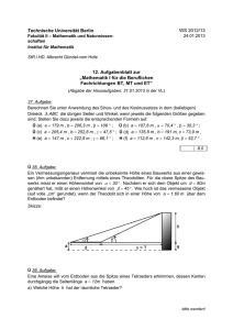 Übungsblatt 12 - homepages.math.tu