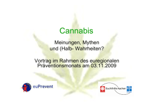 Vortrag zur Droge Cannabis - Blog der Suchthilfe Aachen