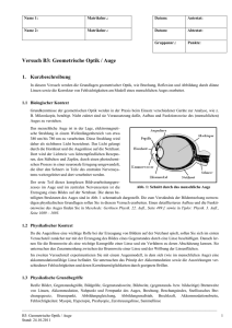 Versuch B3 Auge - Technische Universität Braunschweig