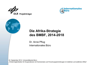 Projektträger DLR, Internationales Büro