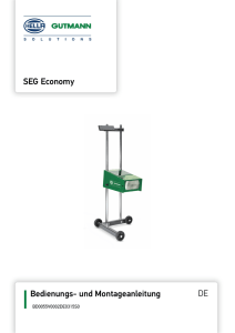 SEG Economy - Hella Gutmann Solutions GmbH