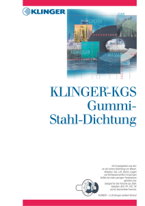 KLINGER-KGS Gummi- Stahl-Dichtung