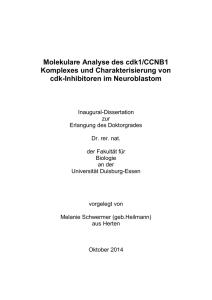 Molekulare Analyse des cdk1/CCNB1 Komplexes