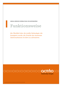 Funktionsweise - CCP Software GmbH