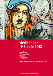 Medien- und IT-Berufe 2013 - IT-Medien