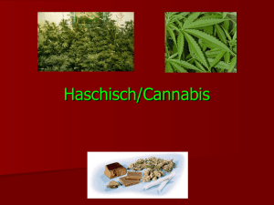 Haschisch/Cannabis