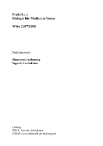 Praktikum Biologie für Mediziner/innen WiSe 2007/2008