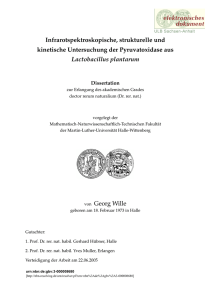 PDF-Format - Martin-Luther-Universität Halle