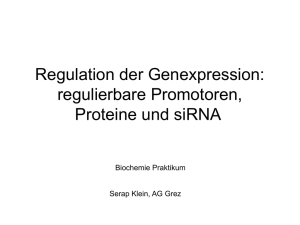 Regulation der Genexpression: regulierbare Promotoren, Proteine