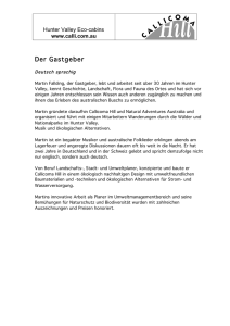 2013 website German text