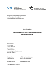 PDF (Bachelorarbeit)