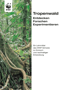 Tropenwald - WWF Schweiz