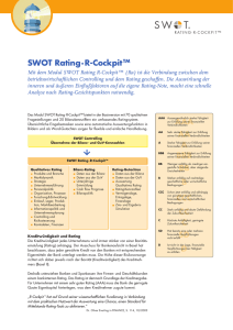 SWOT® Rating mit R-Cockpit™ Broschüre