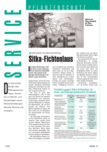 Sitka-Fichtenlaus