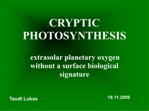 II. Cryptic Photosynthese