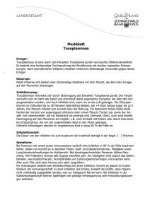 Merkblatt Toxoplasmose - Schwarzwald-Baar