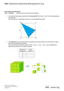 Einschätzungstest Mathematik Teil 2 : Geometrie (Berechnungen mit