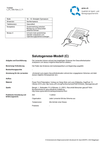 Salutogenese-Modell (C)