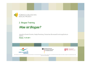 2. Training - Was ist Biogas? (DBFZ)
