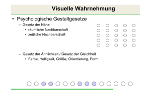 Visuelle Wahrnehmung