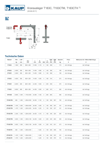 Kranausleger T183C, T183CTM, T183CTH