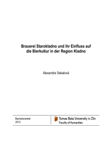 &Scaron;ablona -- Diplomov&aacute; pr&aacute;ce (uni)