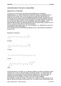 Lehrerinformation: ß-Carotin in Lebensmitteln