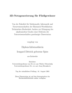 3D-Netzgenerierung für Fließgewässer Diplom - RWTH