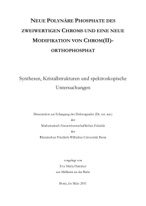 pdf-Dokument - Universität Bonn