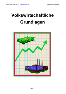 Zusammenfassung VWL BWL - roger