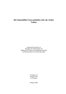 Dissertation Vobis low - Universität Düsseldorf