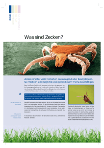 Was sind Zecken? - Universität Hohenheim