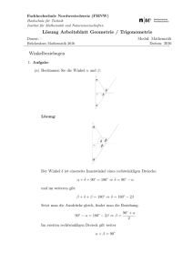 Lösung Arbeitsblatt Geometrie / Trigonometrie