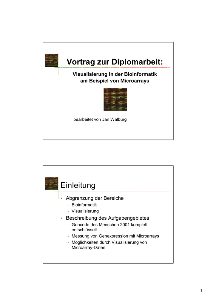 Vortrag Zur Diplomarbeit Einleitung