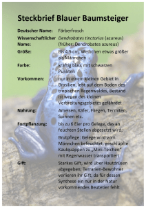 Steckbrief Blauer Baumsteiger Deutscher Name