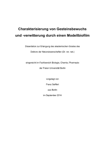 Charakterisierung von Gesteinsbewuchs und - diss.fu