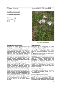 1 Pflanzen (höhere) Artensteckbriefe Thüringen 2009