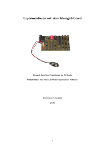 Experimentieren mit dem Atmega8-Board - Lise