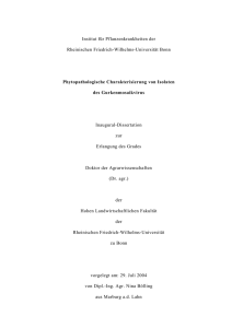 Phytopathologische Charakterisierung von Isolaten des