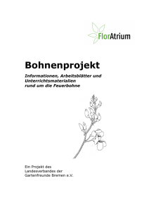 Bohnenprojekt - Gartenfreunde Bremen