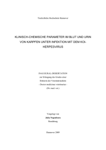 Klinisch-chemische Parameter im Blut und Urin von Karpfen unter