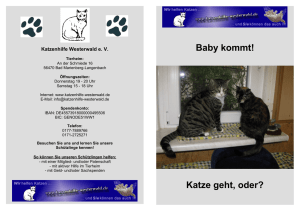 Flyer_Baby_kommt_Katze_geht