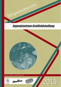 Jahresbericht 2015 - Verein Wiener Jugendzentren