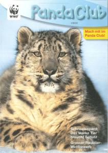 Schneeleopard: Das starke Tier braucht Schutz Grosser Raubtier