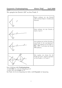 Geometrie: Punktspiegelung Klasse 7DaF April 2008 Wir spiegeln
