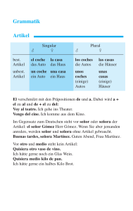 Grammatik Artikel