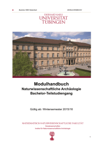 Modulhandbuch