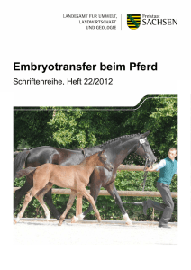 Embryotransfer beim Pferd - Publikationen